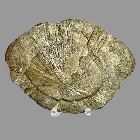 Pyrite Sun (XL)