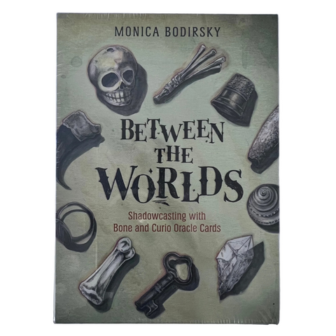 BETWEEN THE WORLDS BY MONICA BODIRSKY