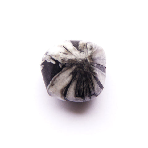 Chrysanthemum Stone Tumbled Crystal