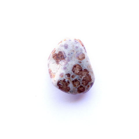 Garnet in Limestone Tumbled Crystal
