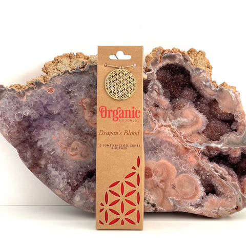 Organic Goodness Dragon's Blood 12 Jumbo Incense Cones & Burner